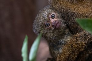 _DSC1748-BearbeitetKopie1200