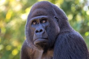 _DSC2010-BearbeitetKopie1200