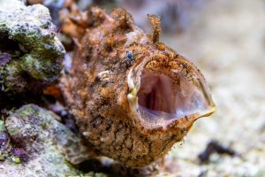 _DSC2408-BearbeitetKopie1200